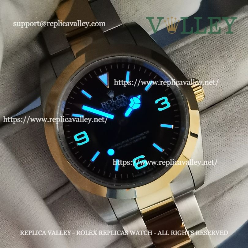 E101 Rolex Explorer 124273 Oystersteel and Yellow Gold Black Dial