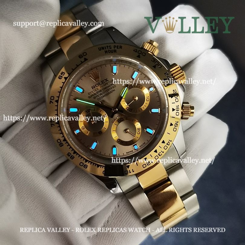 D204 Rolex Daytona 116503 Two Tone Gray Dial