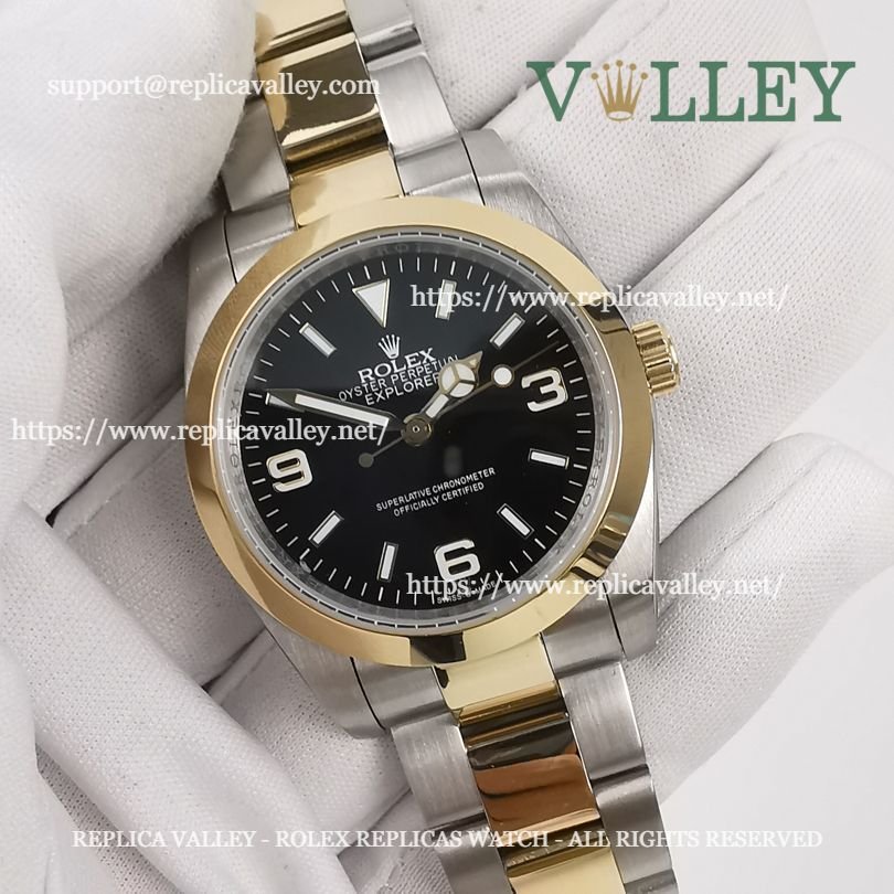 E101 Rolex Explorer 124273 Oystersteel and Yellow Gold Black Dial