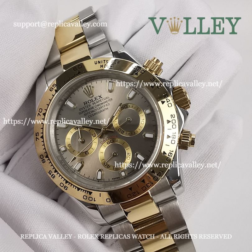 D204 Rolex Daytona 116503 Two Tone Gray Dial