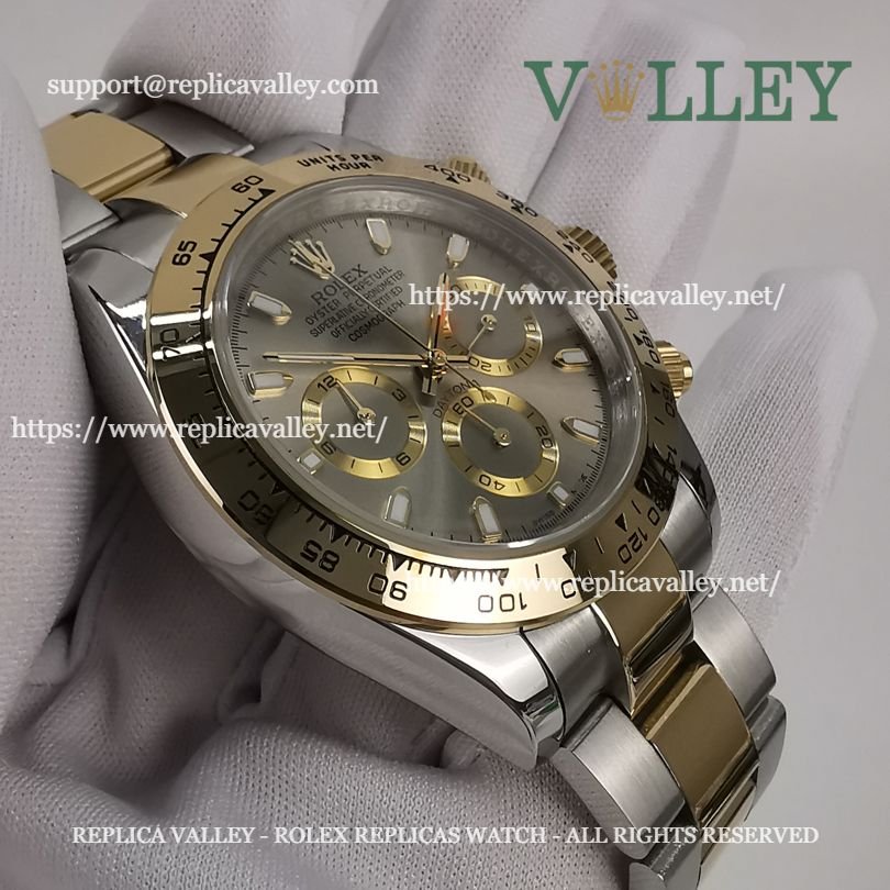D204 Rolex Daytona 116503 Two Tone Gray Dial