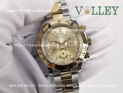 D206 Rolex Daytona 116503 Two Tone Gold Dial