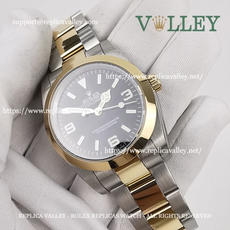 E101 Rolex Explorer 124273 Oystersteel and Yellow Gold Black Dial