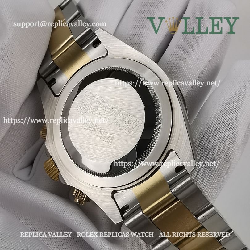 D204 Rolex Daytona 116503 Two Tone Gray Dial