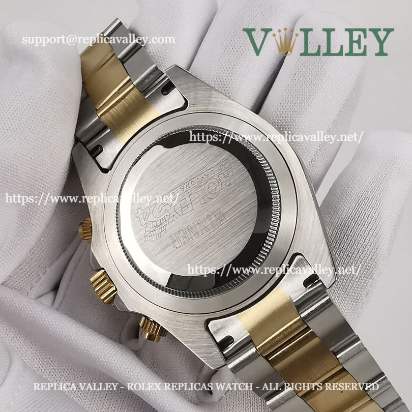 D205 Rolex Daytona 116503 Two Tone Blue Dial