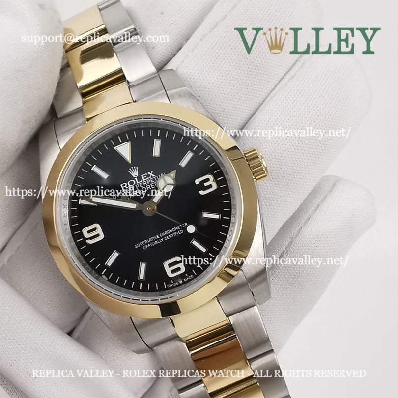 E101 Rolex Explorer 124273 Oystersteel and Yellow Gold Black Dial