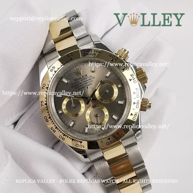 D204 Rolex Daytona 116503 Two Tone Gray Dial